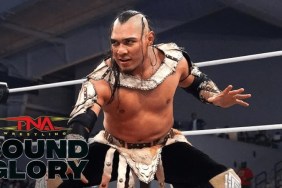 El Hijo del Vikingo TNA