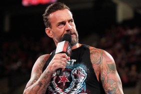 cm punk