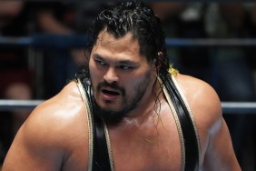 Jeff Cobb