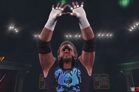 WWE 2K24 Diamond Dallas Page