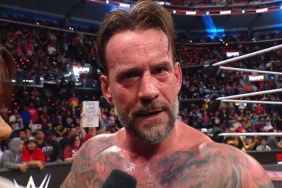 CM Punk WWE Royal Rumble