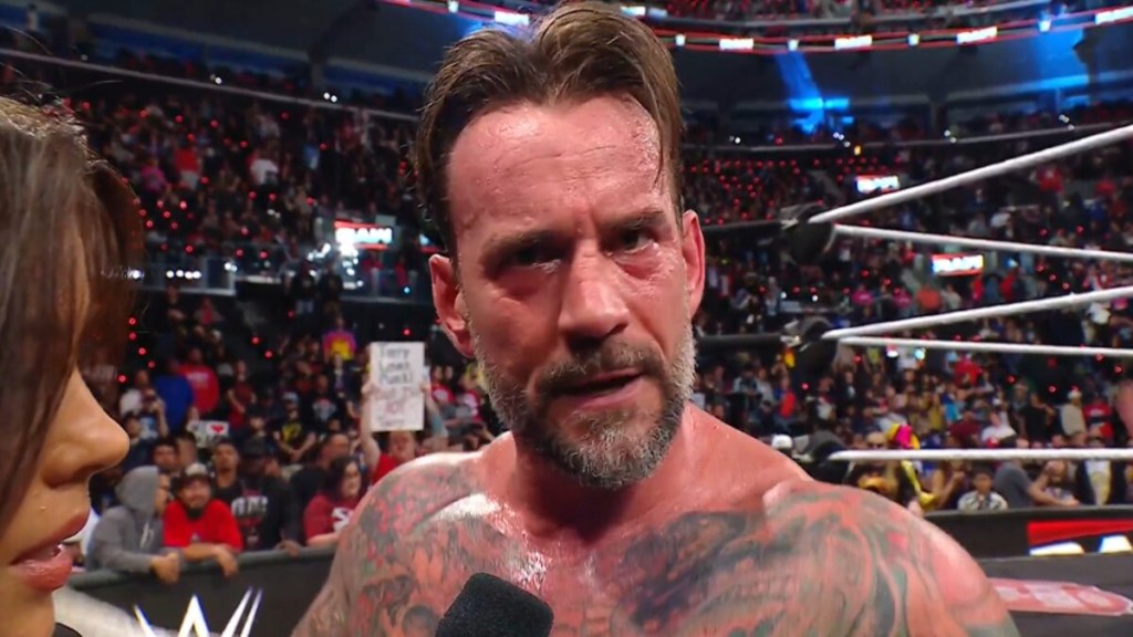 CM Punk WWE Royal Rumble