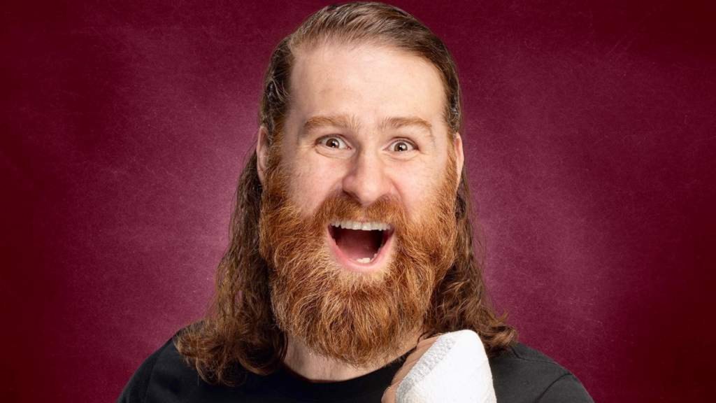 sami zayn