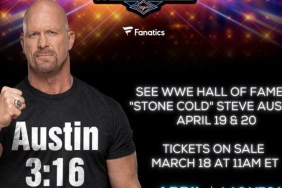 WWE World Steve Austin