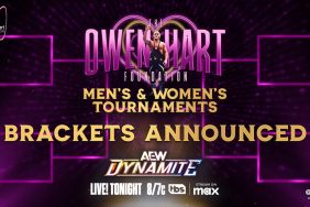 AEW Dynamite Owen Hart Cup