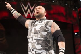 Bubba Ray Dudley WWE LFG Bully Ray