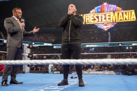 Randy Orton WWE WrestleMania 41