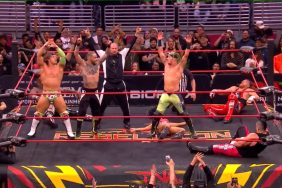 TNA Rebellion Sean Waltman The Rascalz Ace Austin