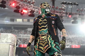 Penta Comments On A Potential Lucha Bros Reunion In WWE