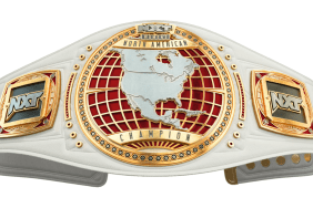 Two Women Qualify For North American Championship Ladder Match At WWE NXT Stand & Deliver