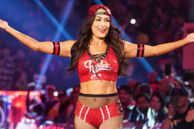 Nikki Bella Would Welcome A Total Divas Reboot