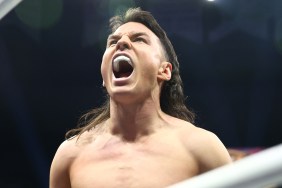 speedball mike bailey