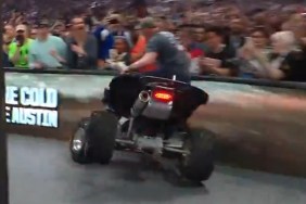 steve austin at wrestlemania 41