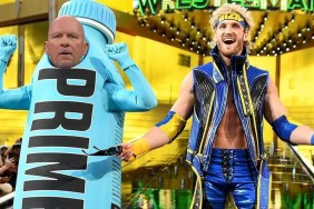 steve austin logan paul wrestlemania 41