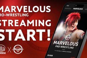 Marvelous Wrestle Universe