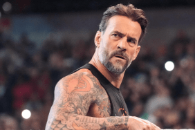 CM Punk WWE