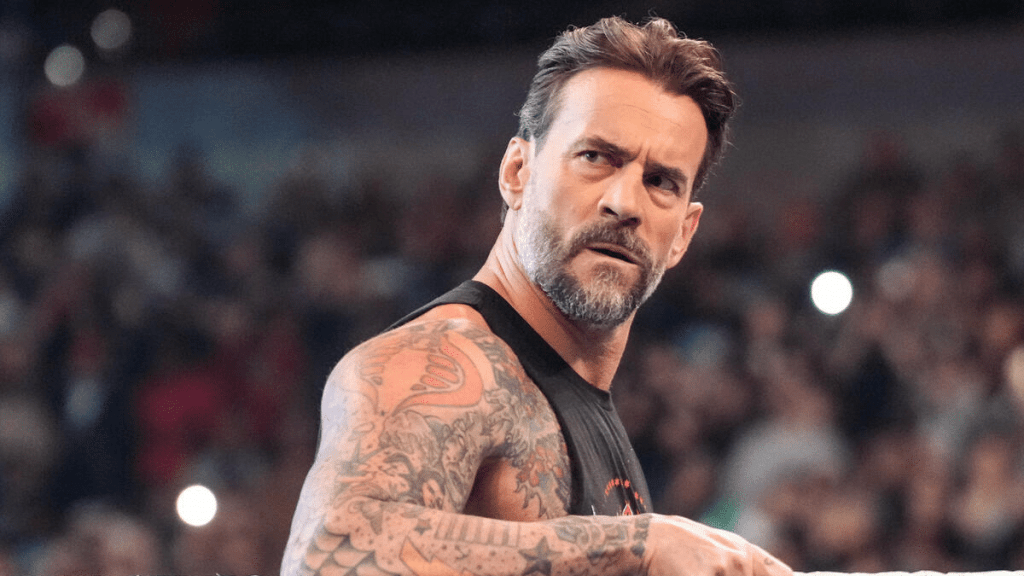 CM Punk WWE