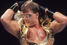 shawn michaels wwe