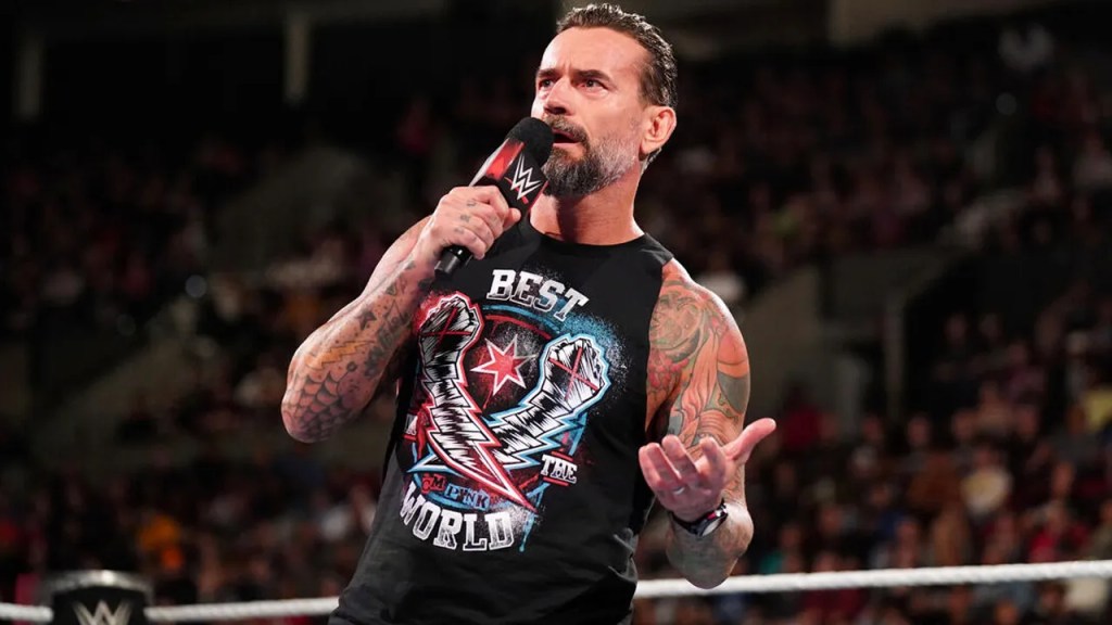 CM Punk WWE RAW