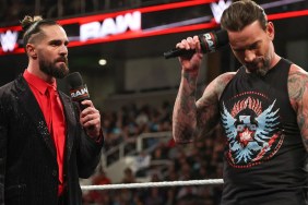 seth rollins cm punk