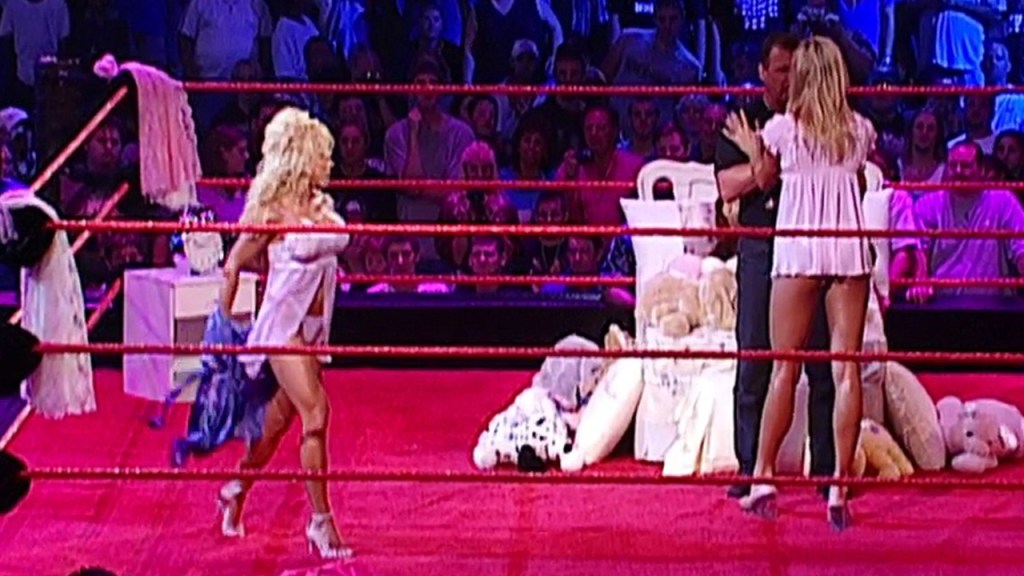 terri runnels lingerie pillow fight