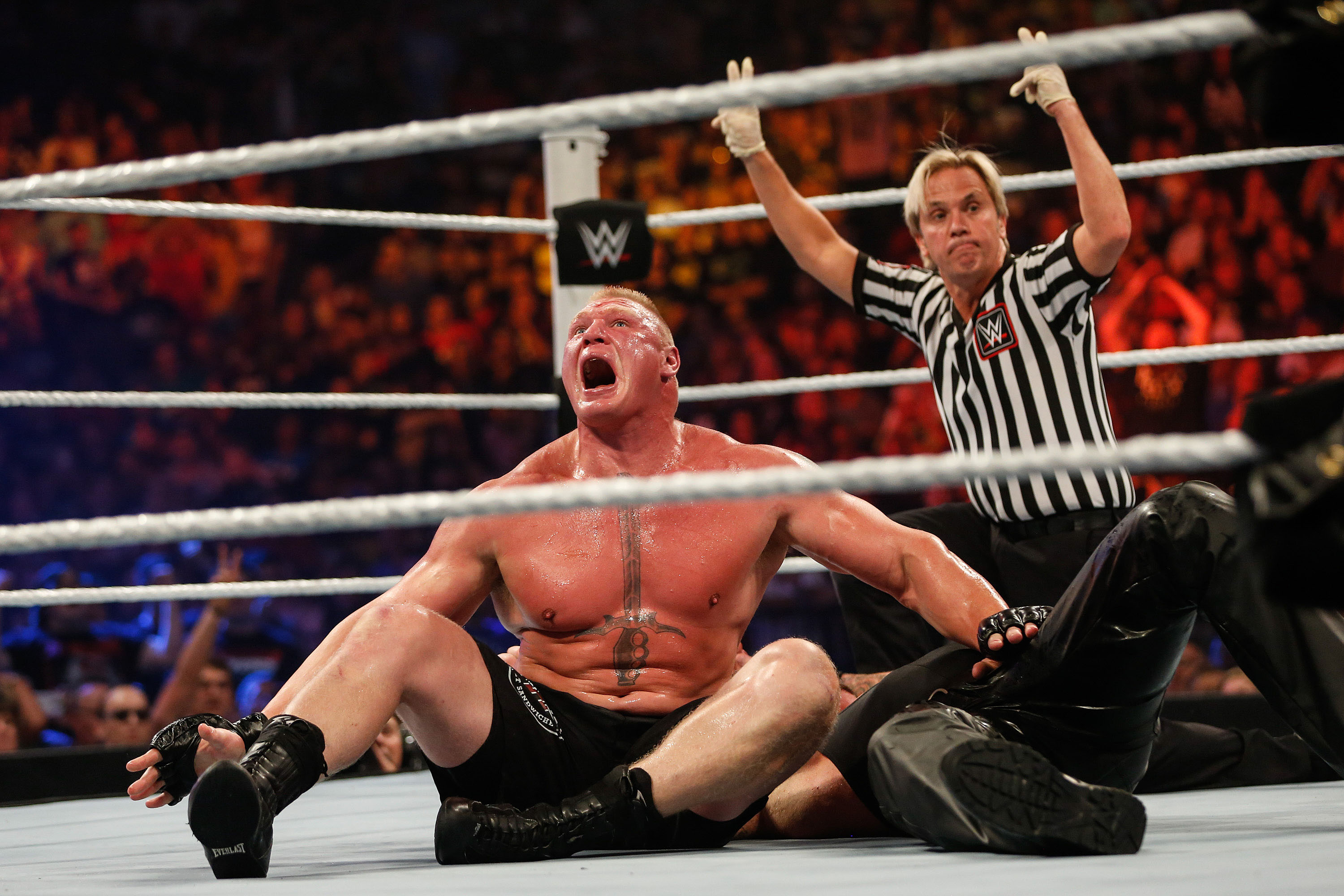 Brock Lesnar v Undertaker