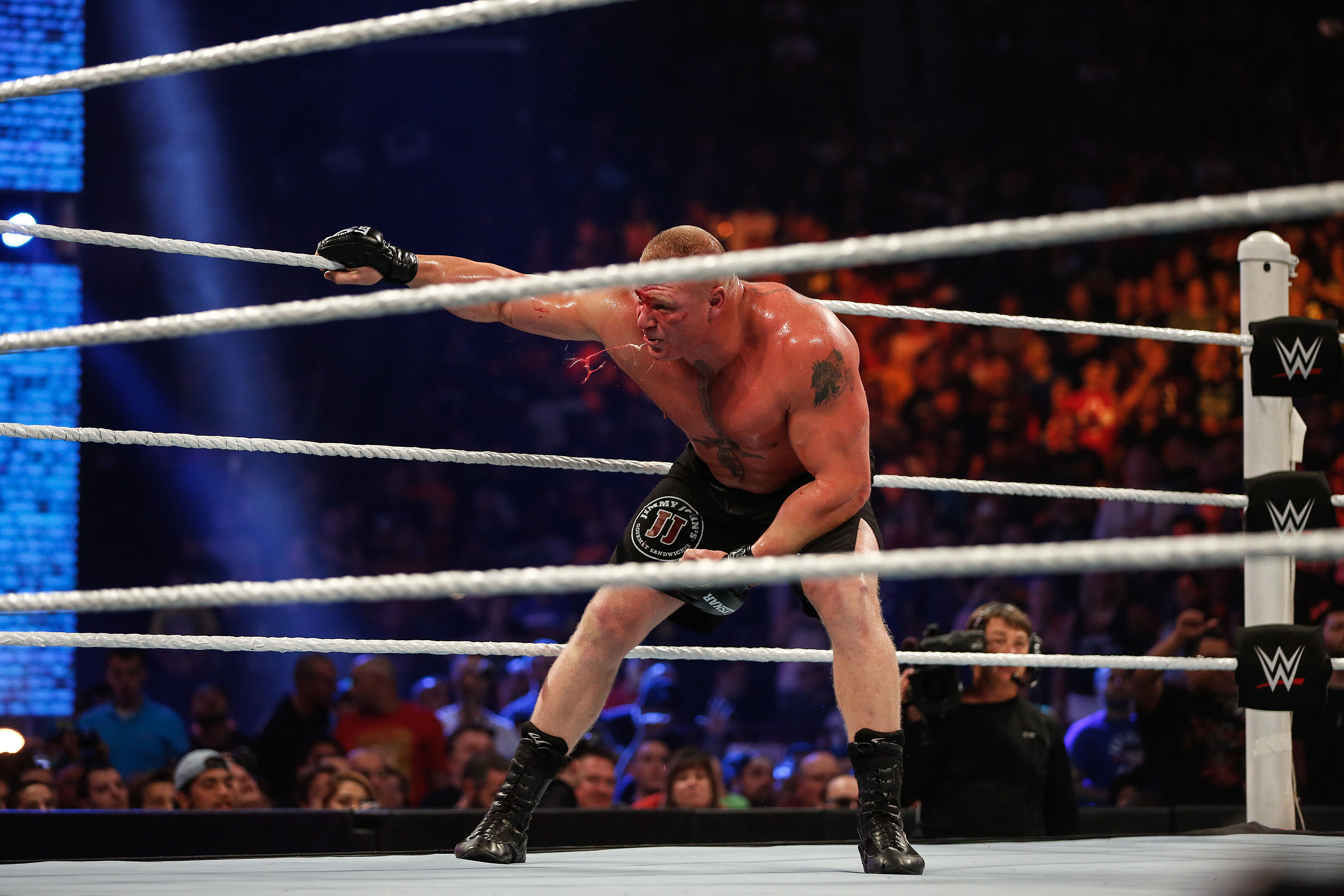 Brock Lesnar v Undertaker