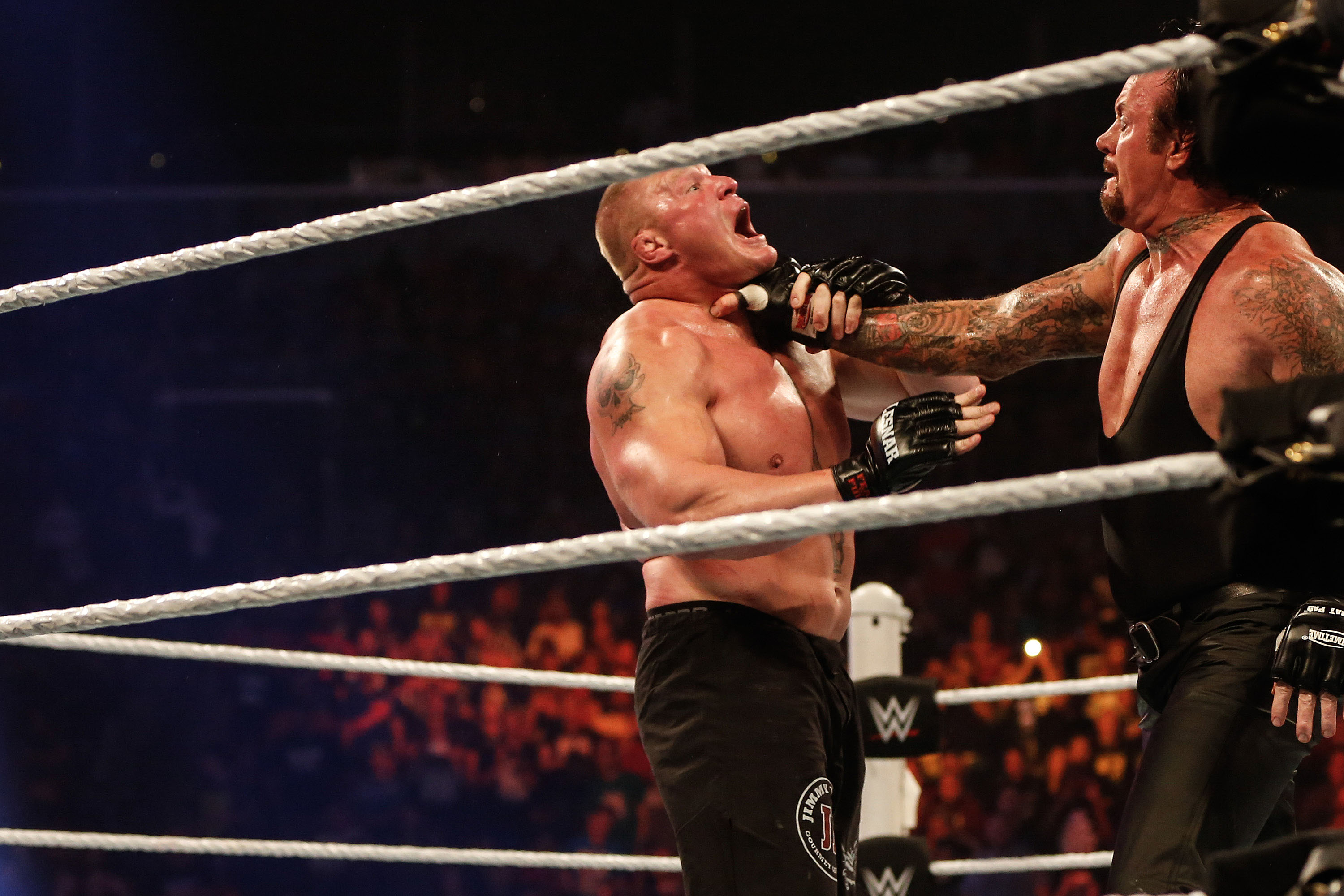 Brock Lesnar v Undertaker