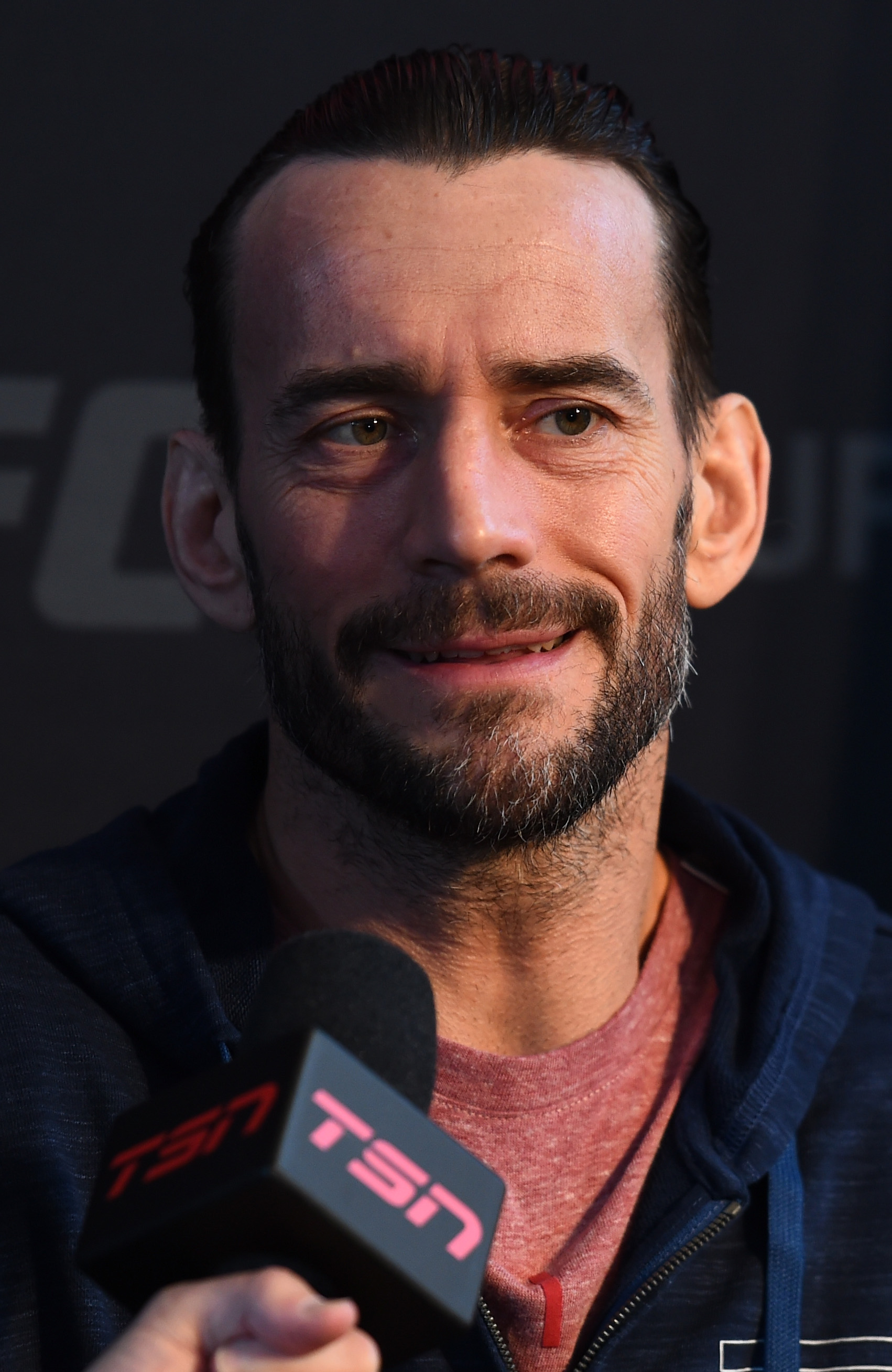 CM Punk UFC 225