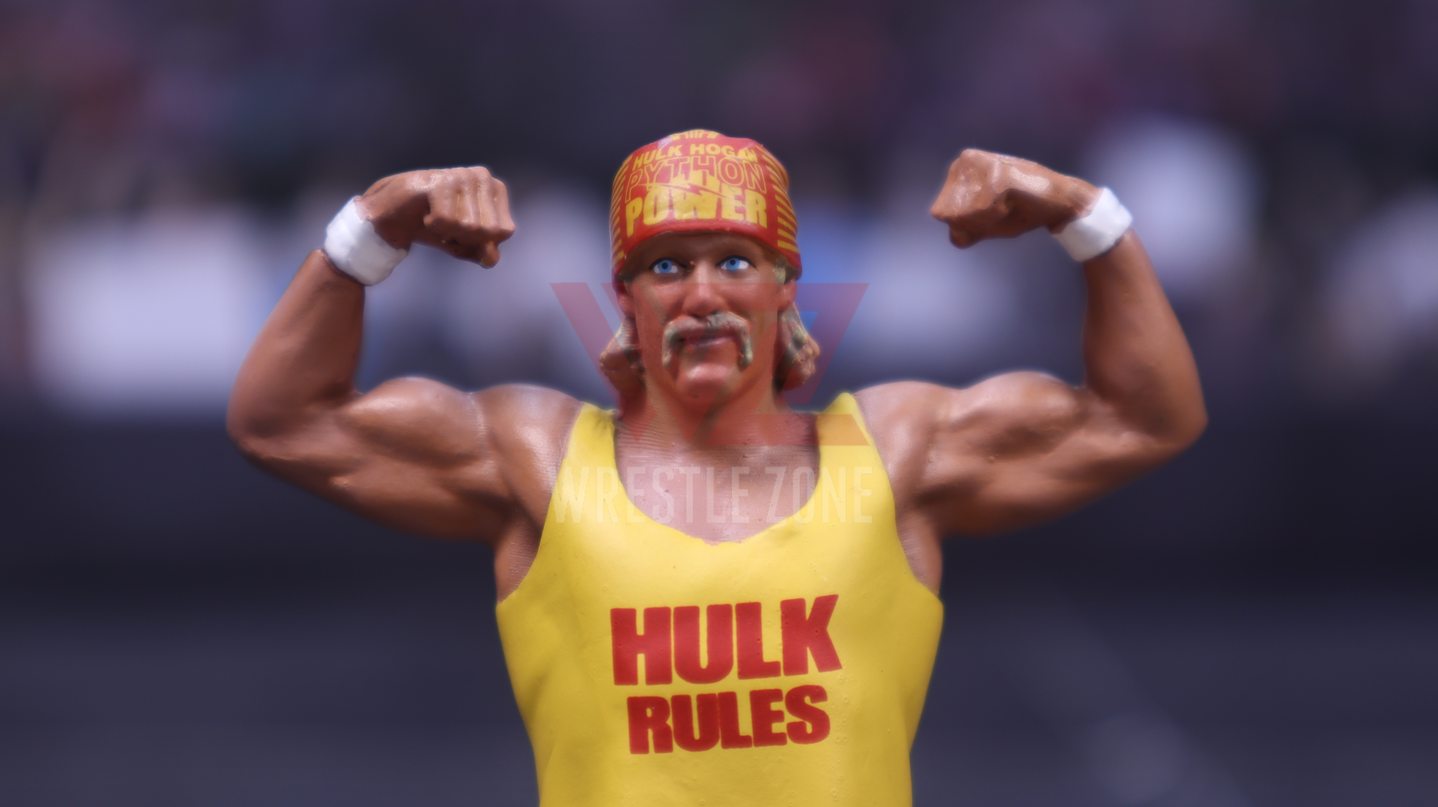 Wz_wwe_herocollector_hogan_20201228_2061