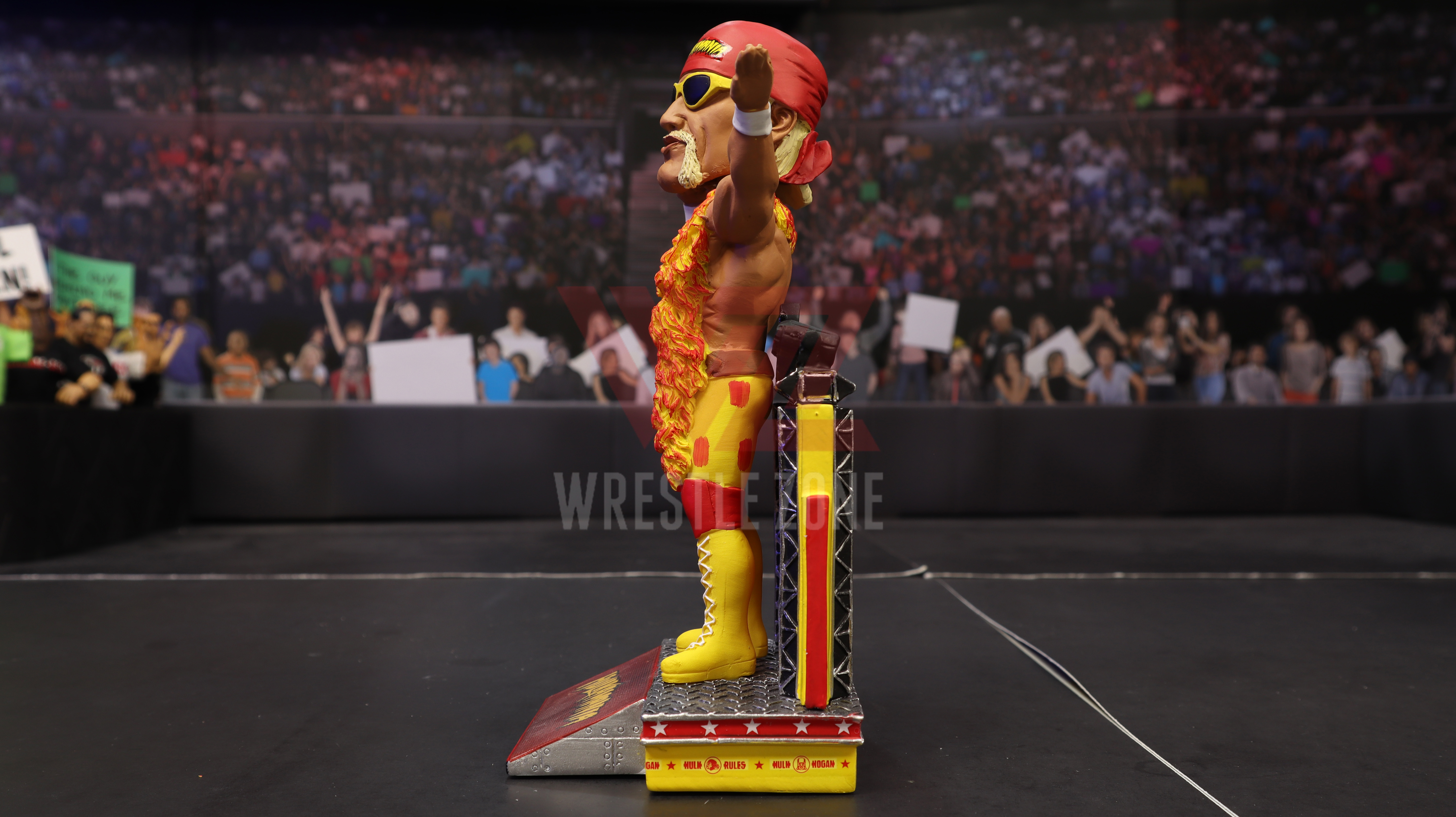 Wz_foco_wwe_hogan_e20201127_1721