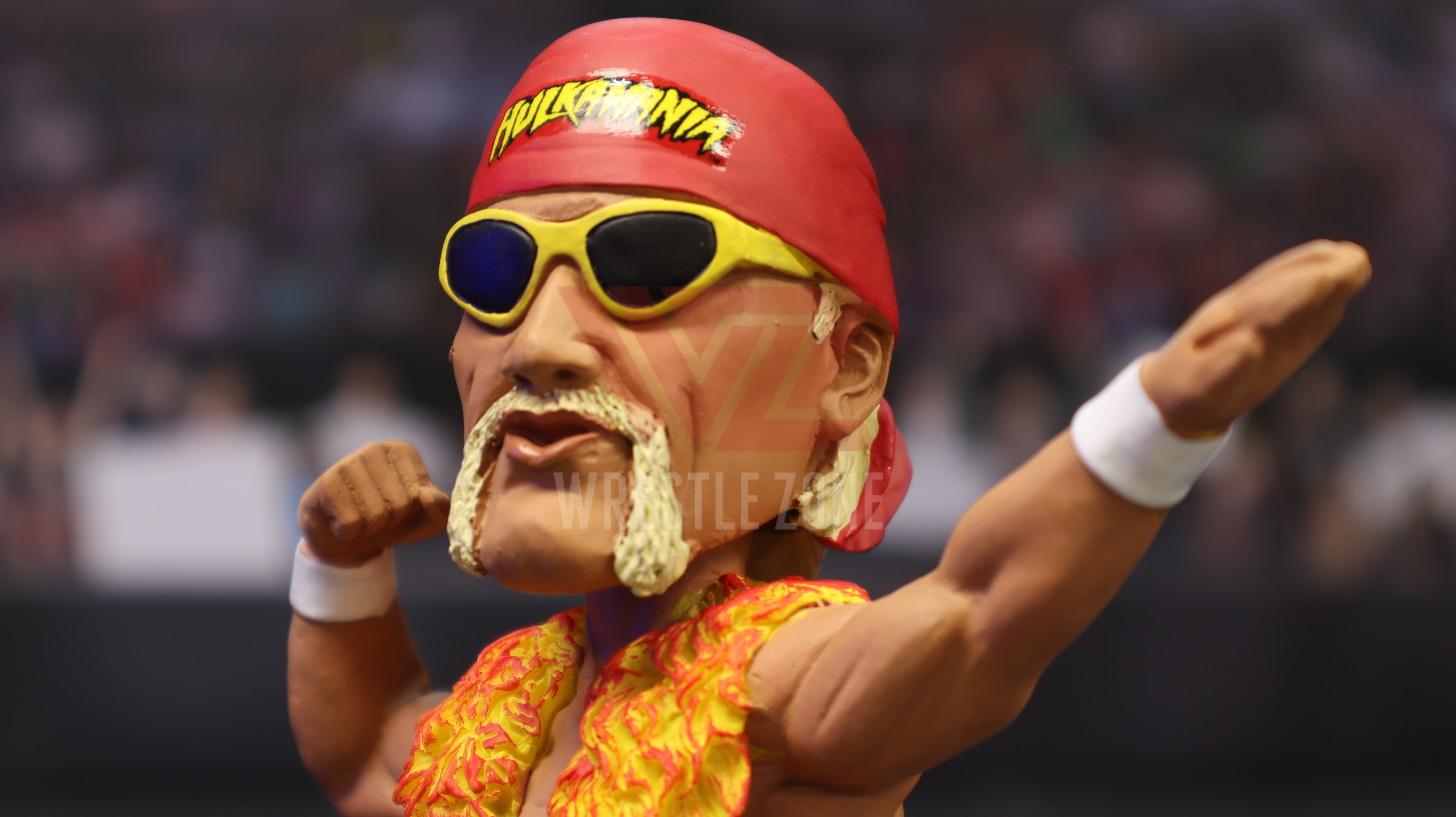 Wz_foco_wwe_hogan_e20201127_1725