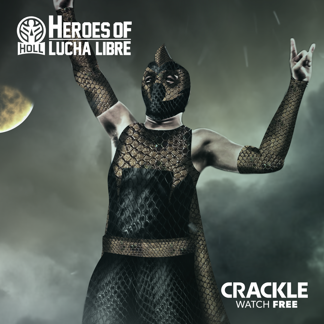 Heroes Of Lucha Libre