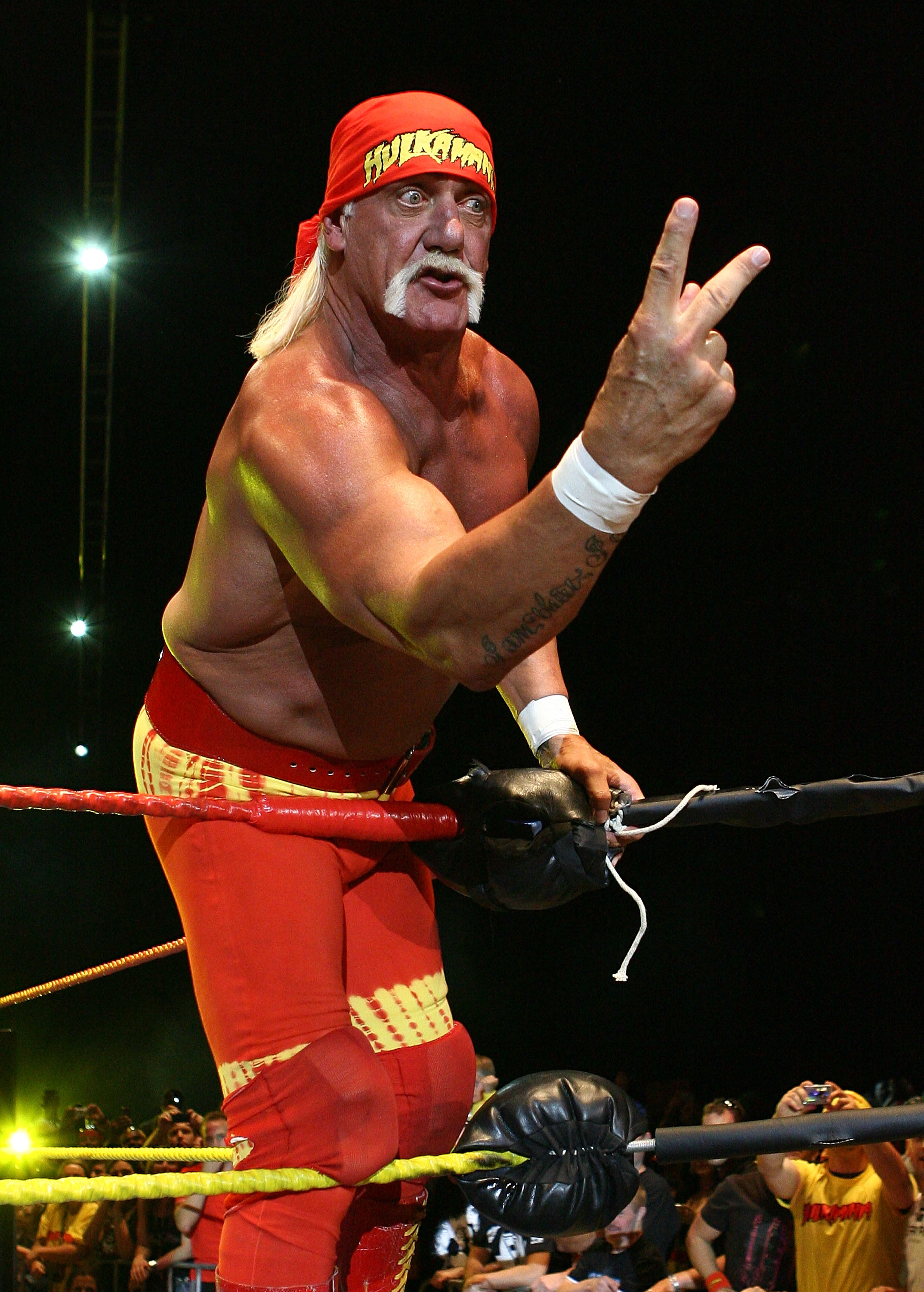 Hulk Hogan vs Ric Flair