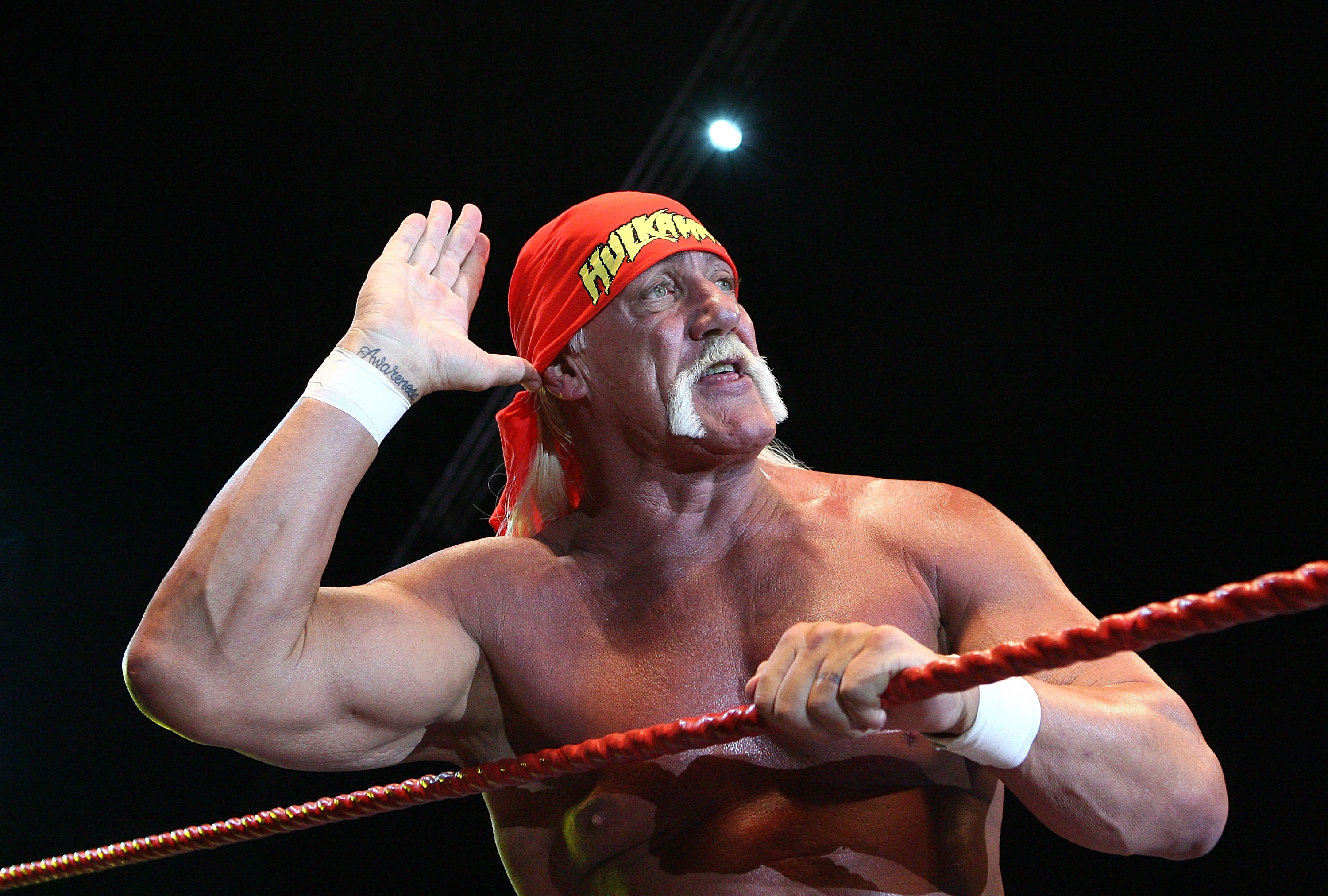 Hulk Hogan vs Ric Flair