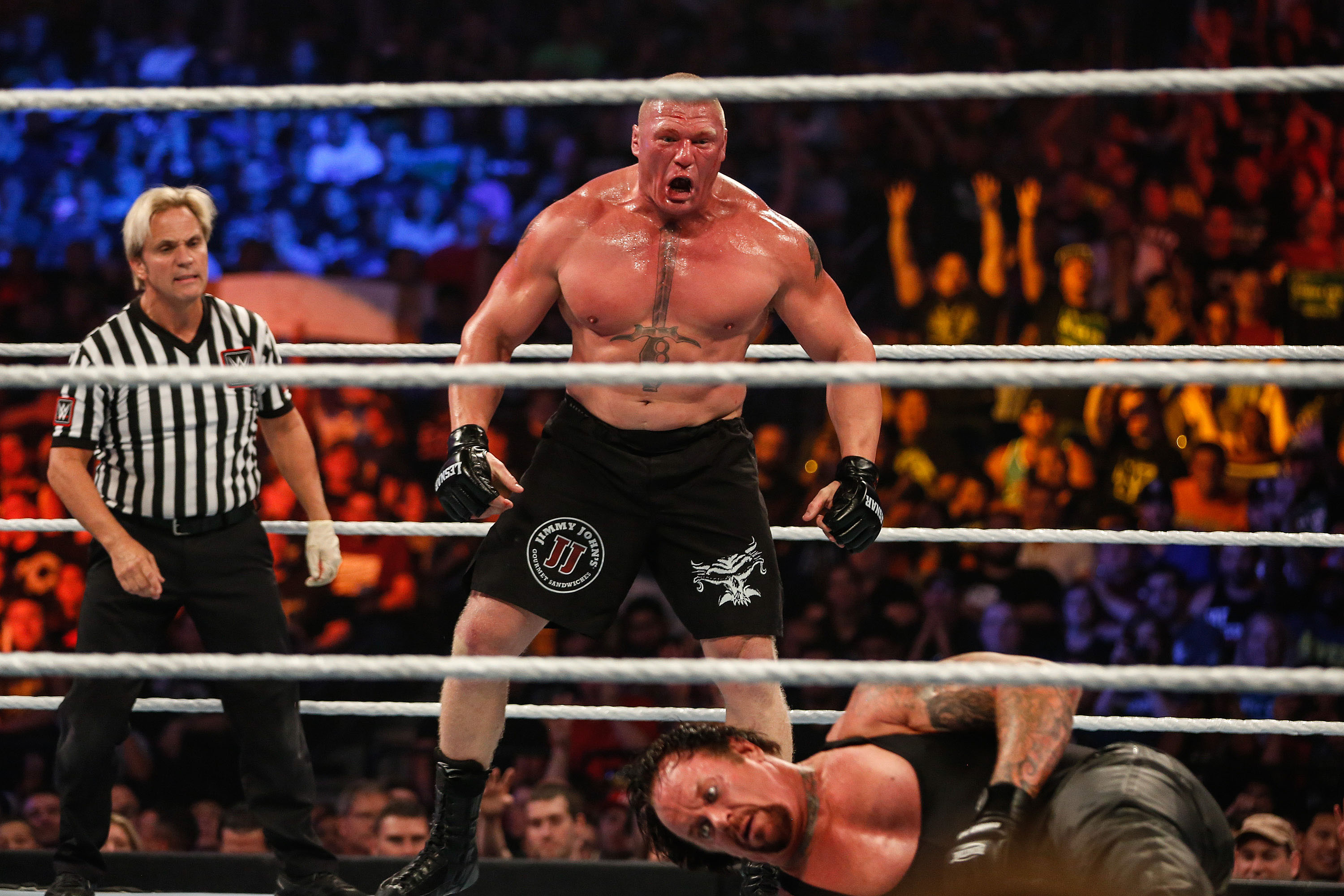 Brock Lesnar vs The Undertaker