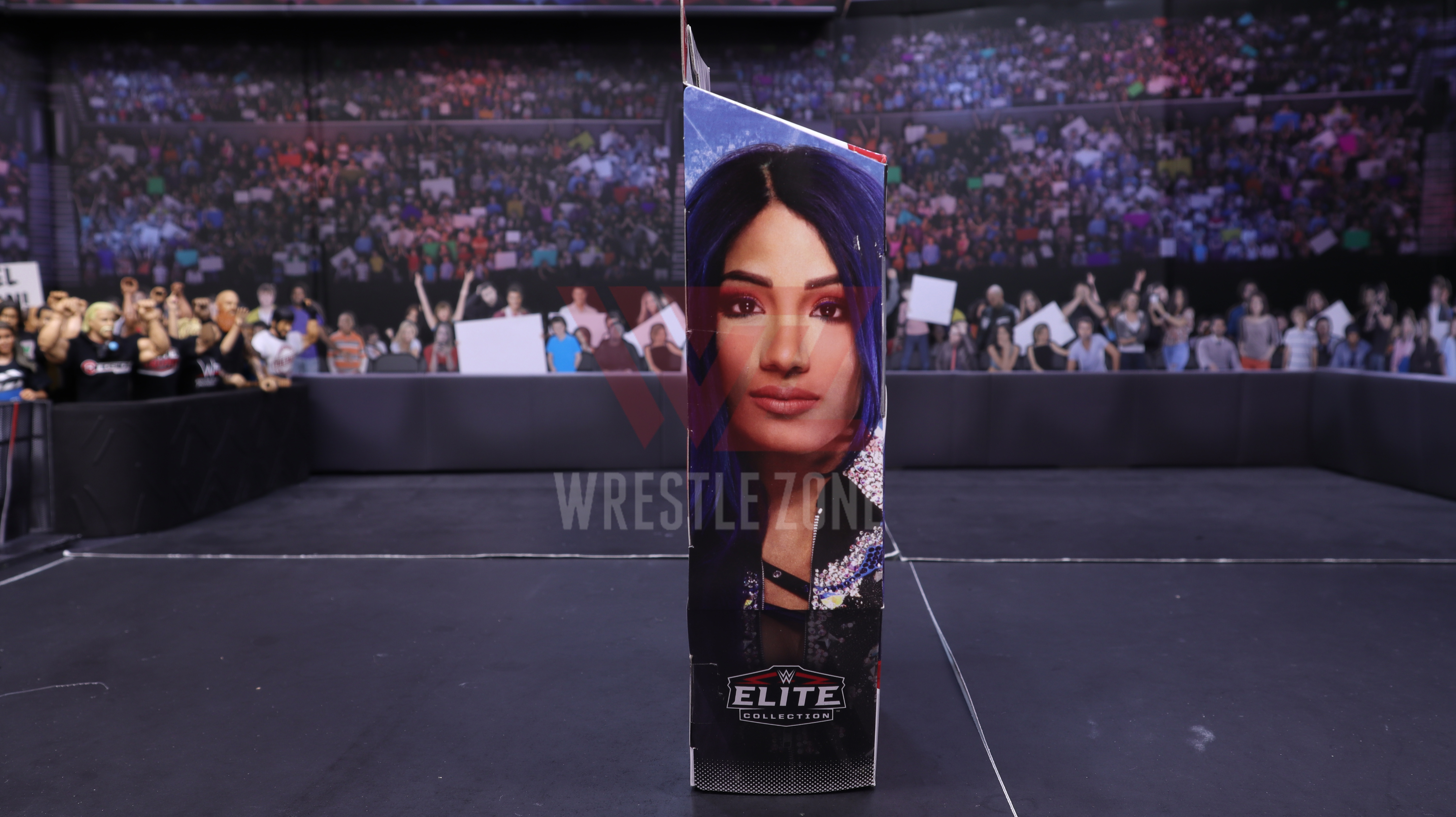 Wz_wwe_elite83_sasha_20210106_2397