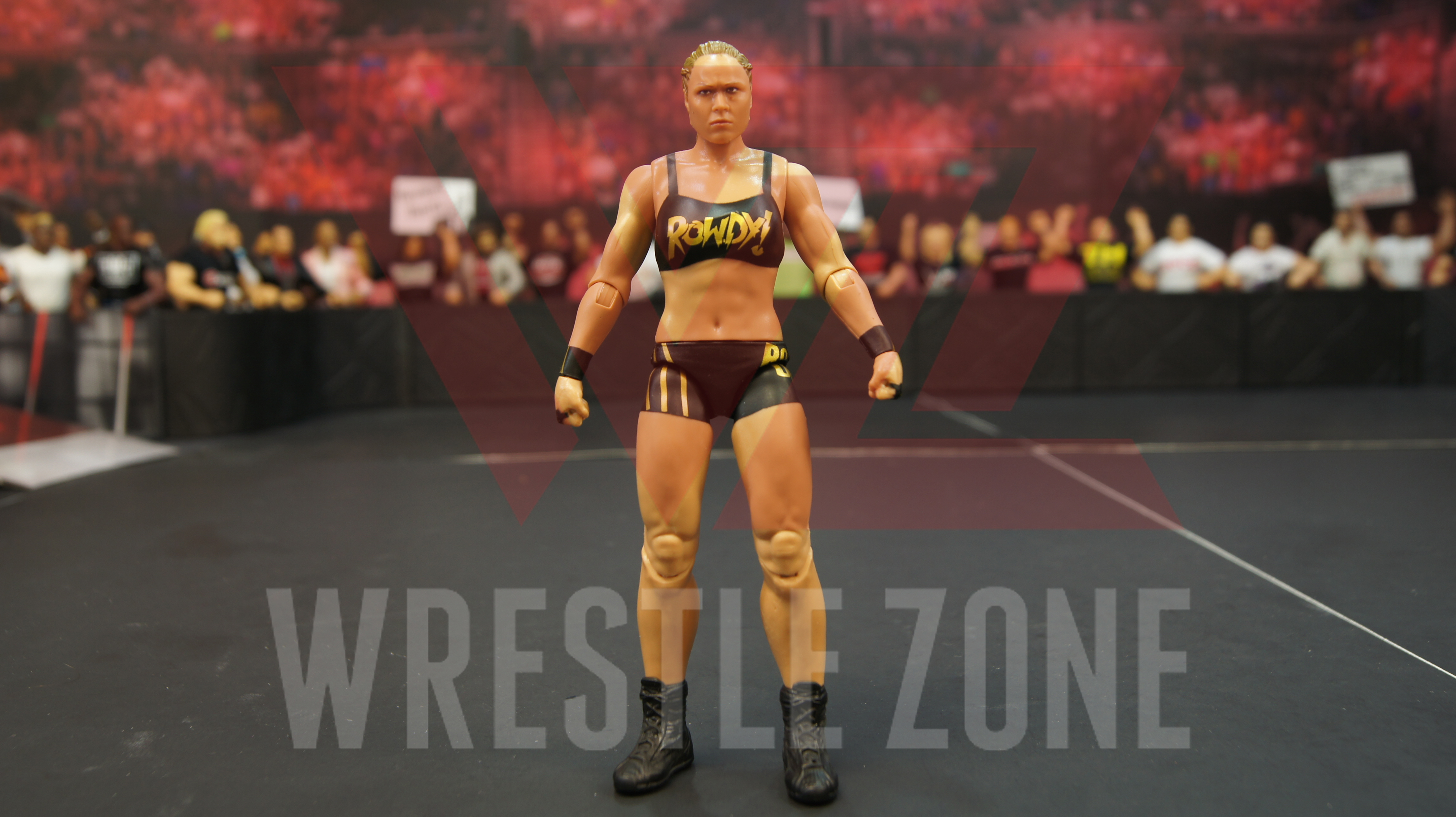 Wz_wwe_basic101_rousey_c