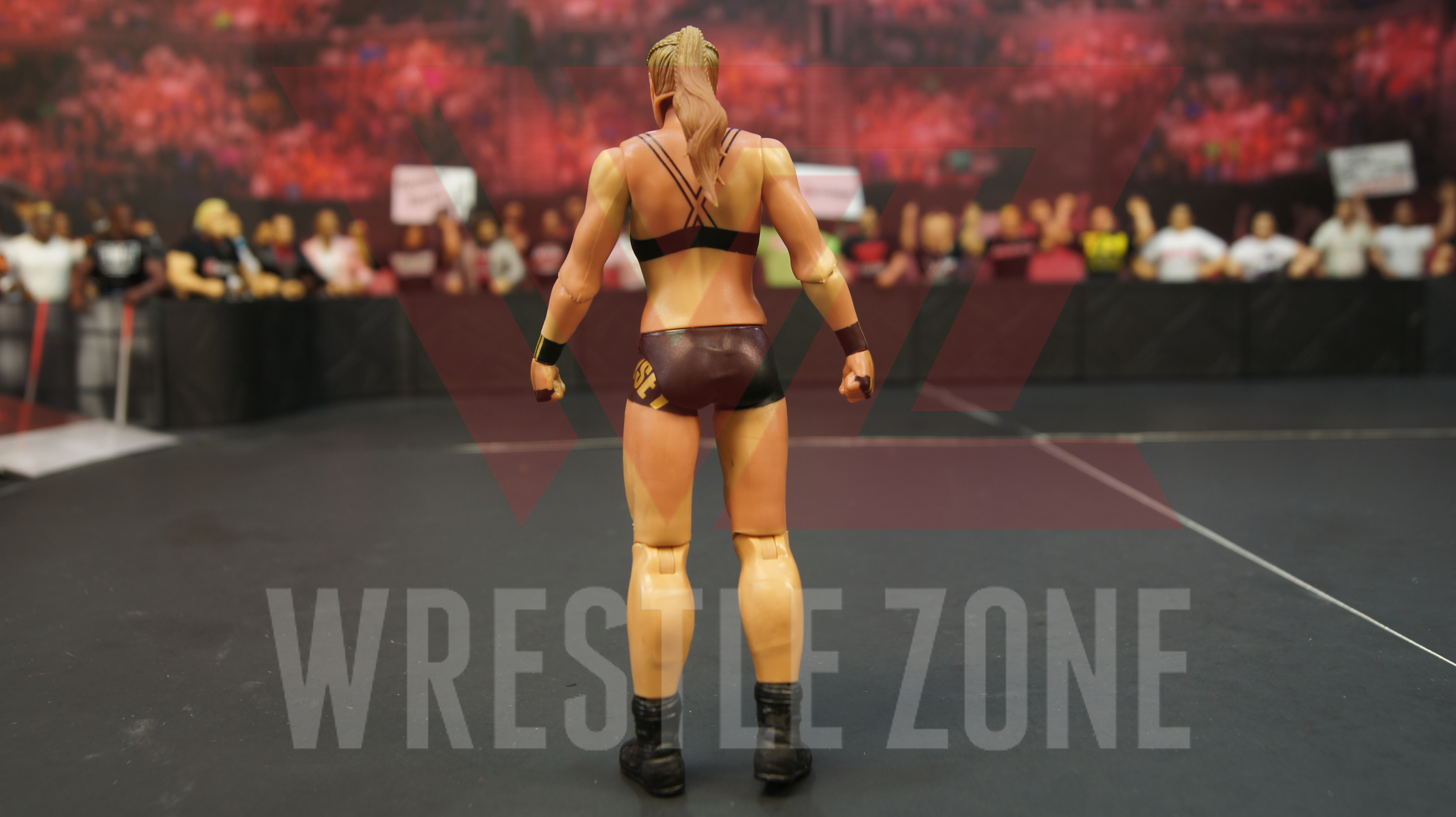 Wz_wwe_basic101_rousey_d