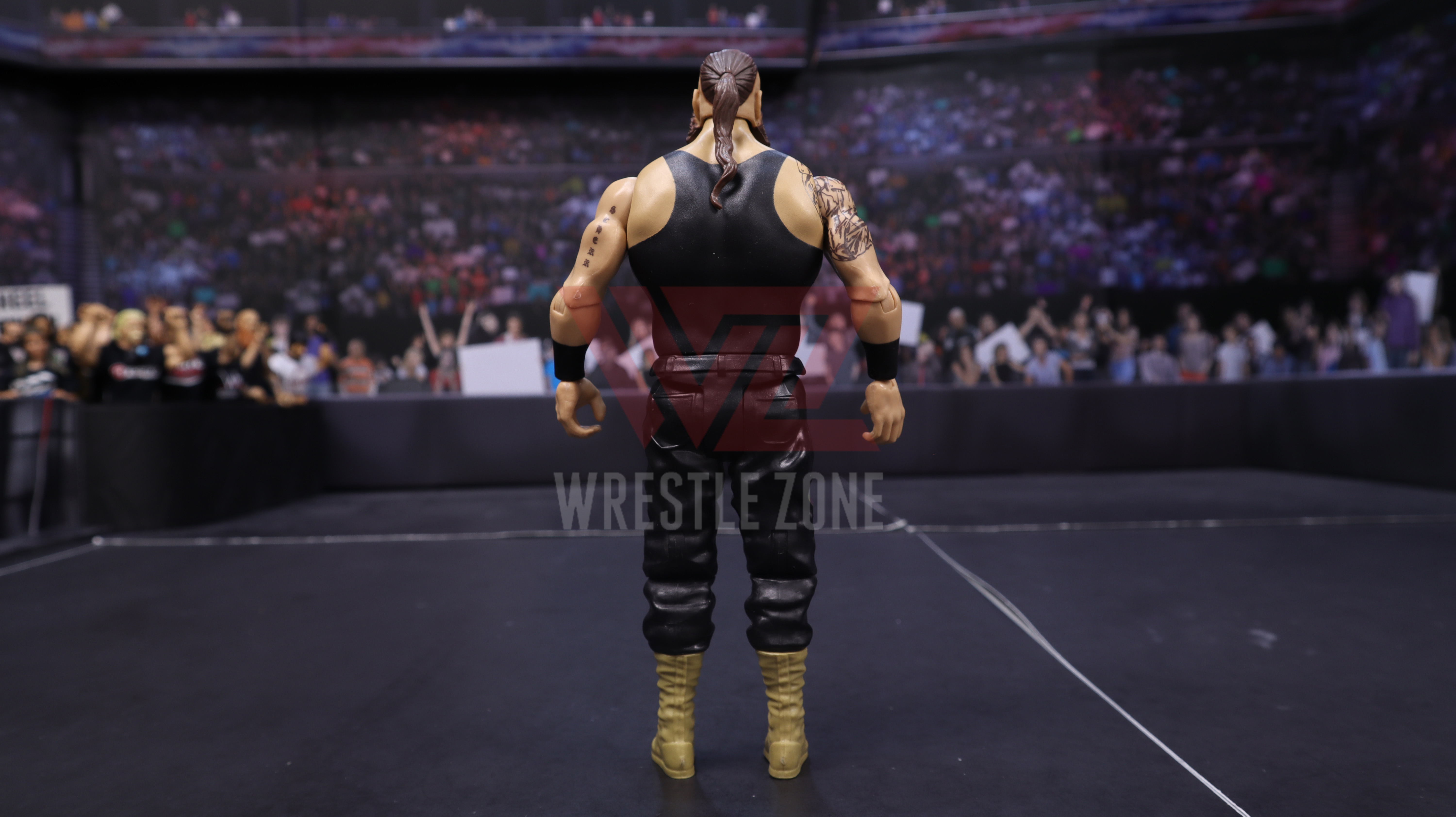 Wz_wwe_series115_braun_20201229_2172