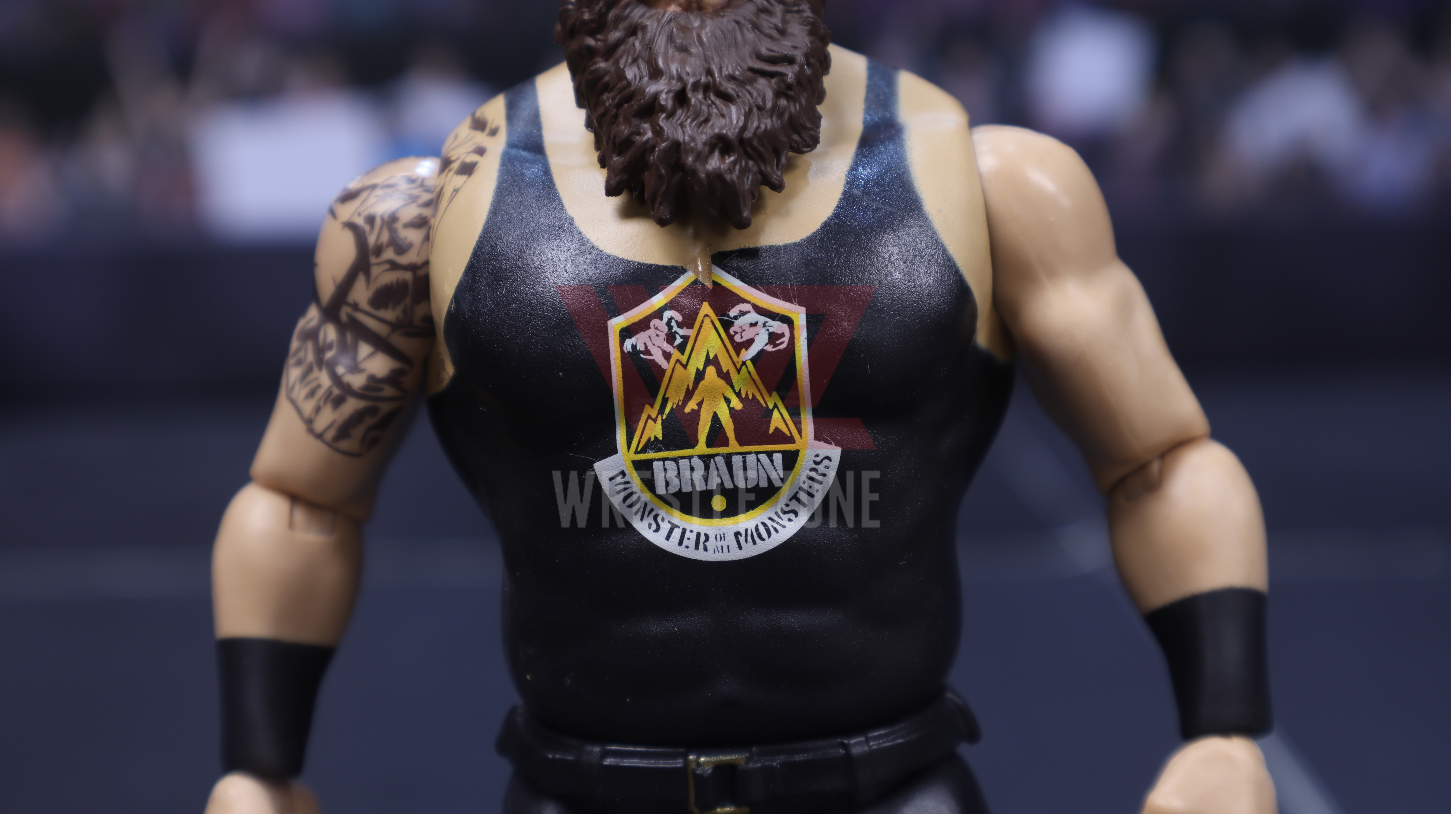 Wz_wwe_series115_braun_20201229_2176