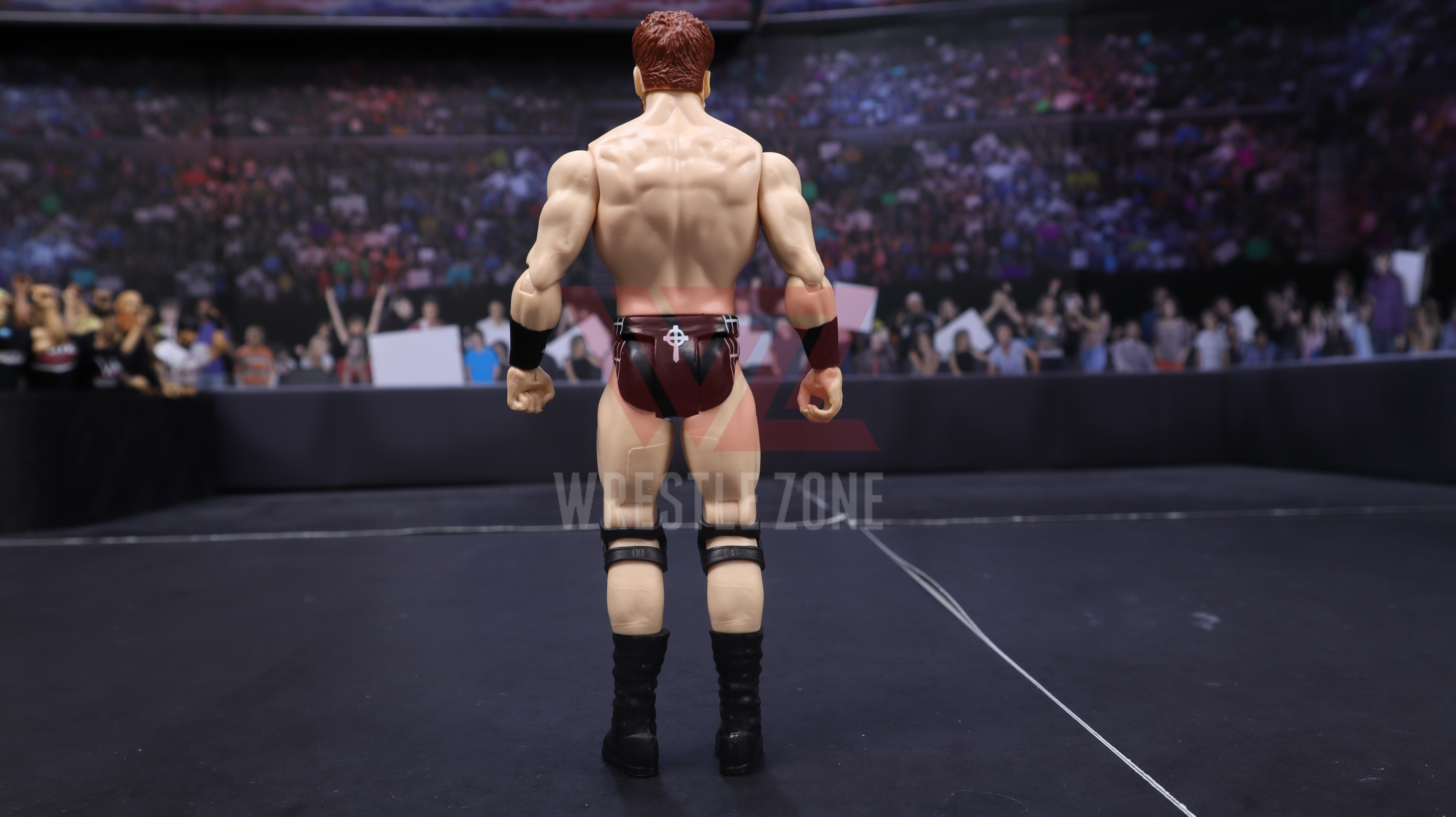 Wz_wwe_series116_sheamus_20201230_2214