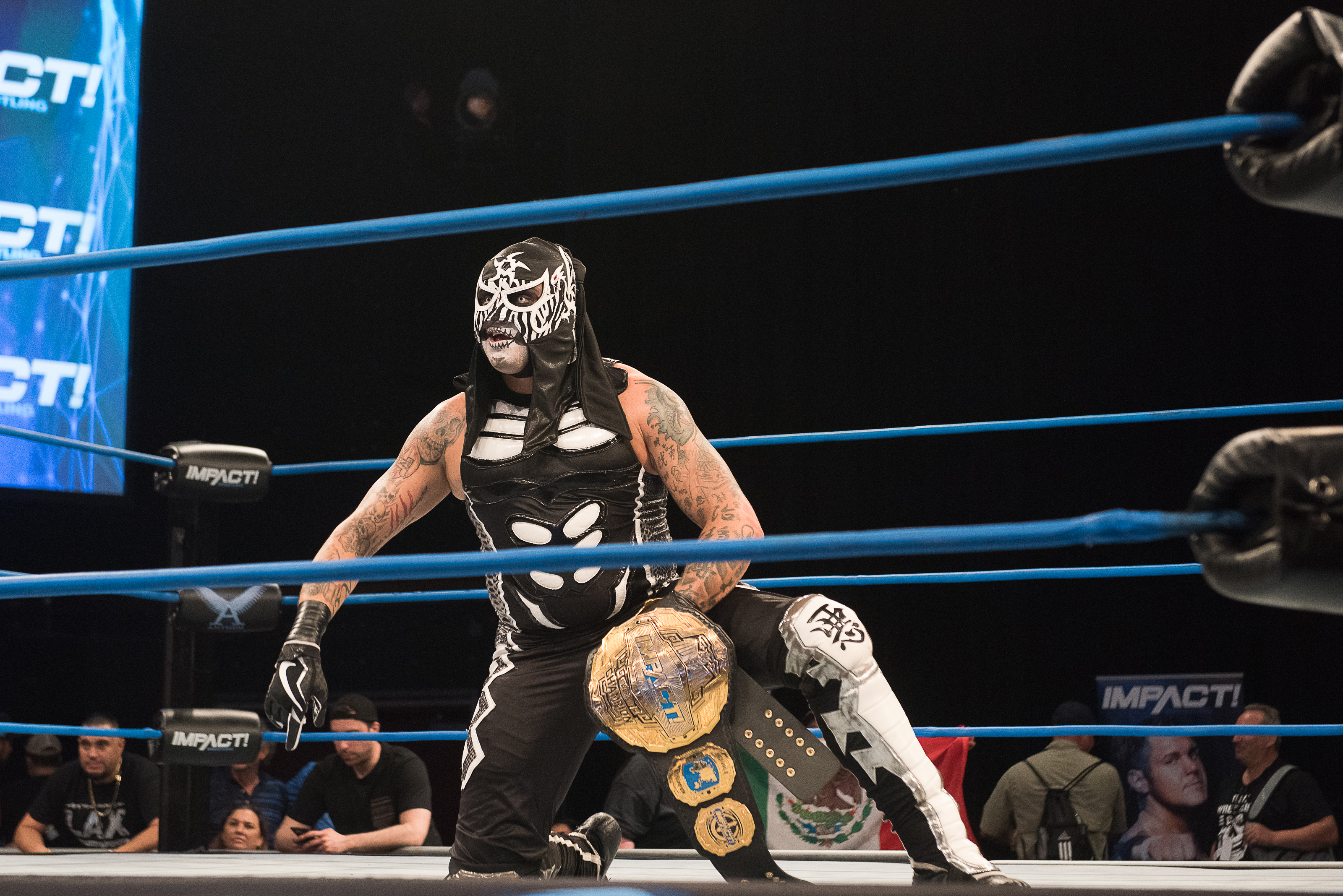 Pentagon Jr