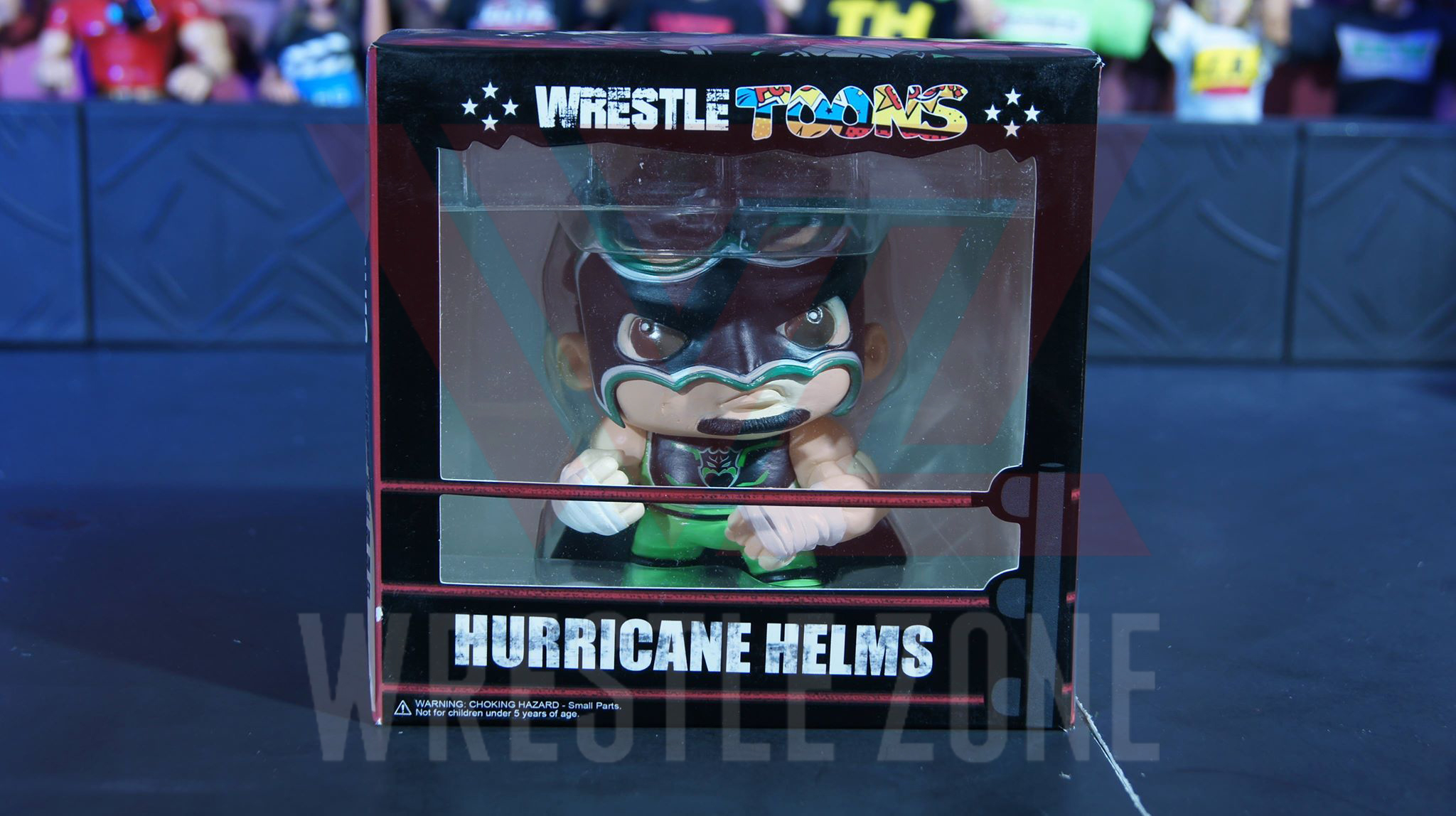 Pwt_wrestletoons_hurricane_helms_a