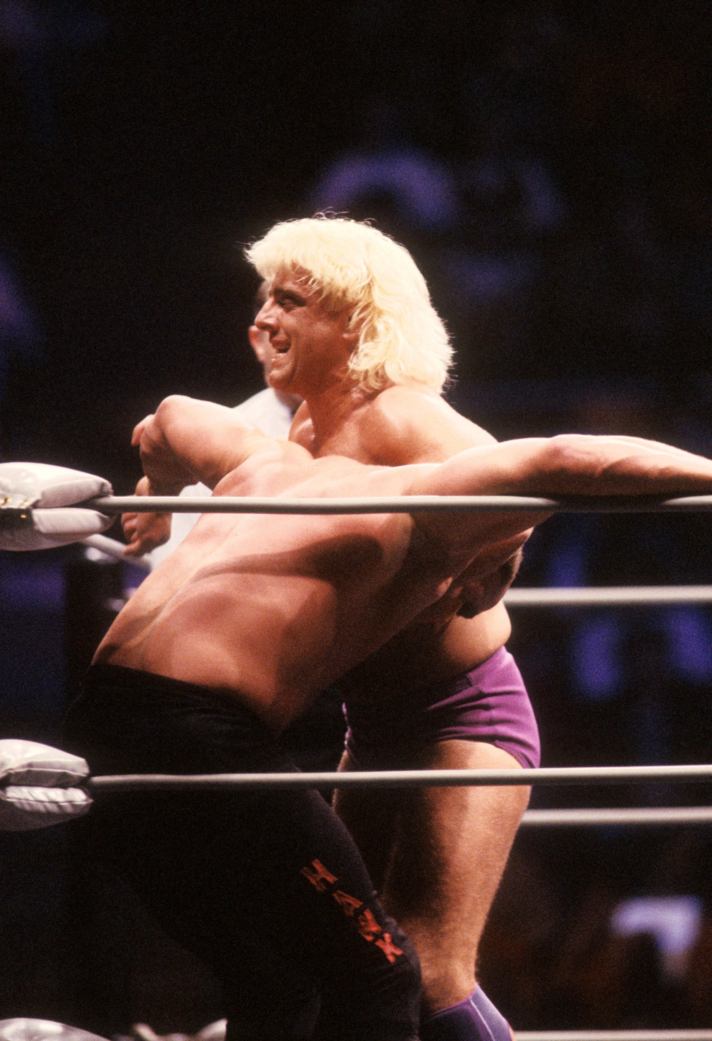 Ric Flair vs Road Warrior Hawk