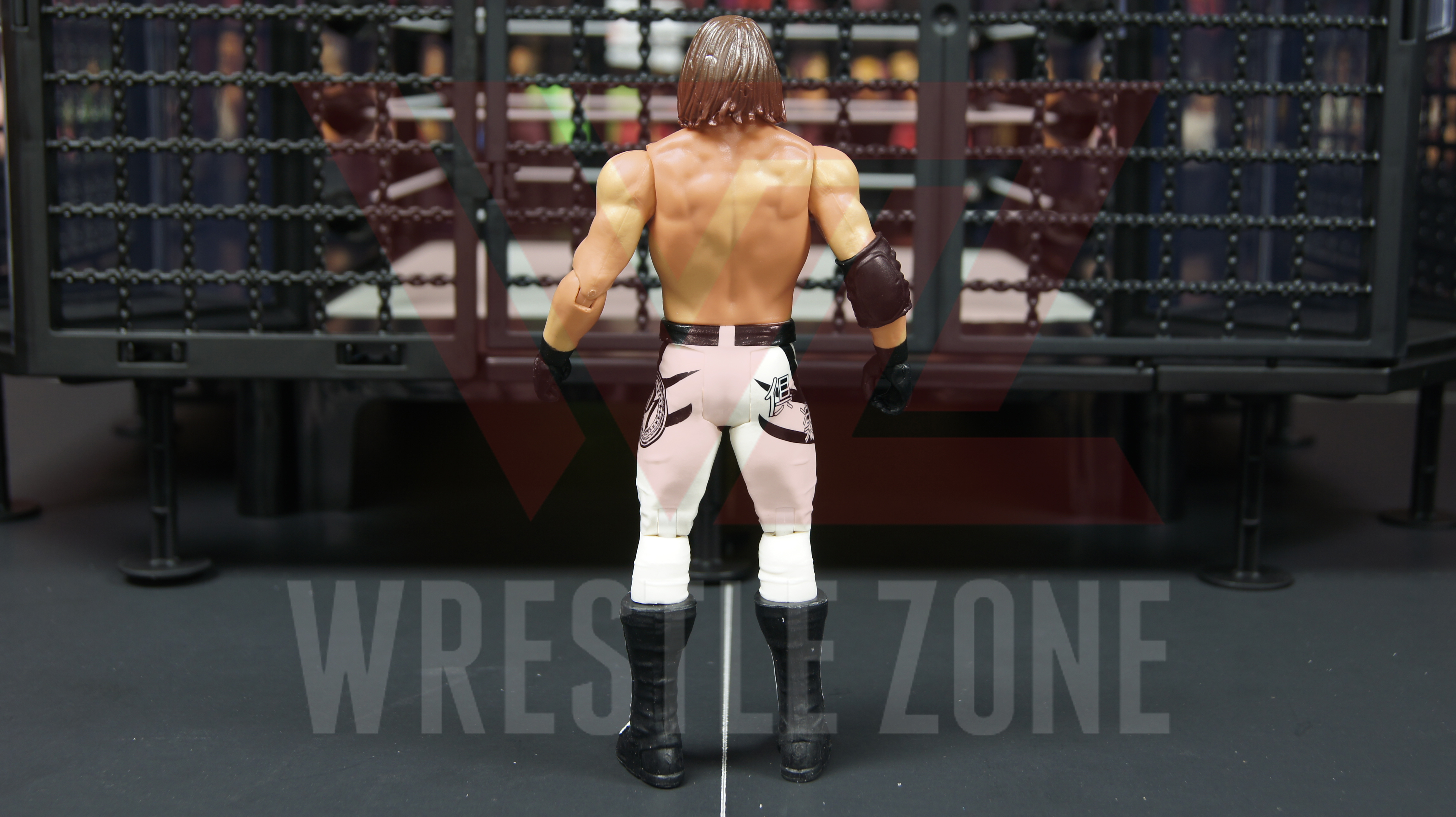 Rsc_wwe_elimniation_chamber_d