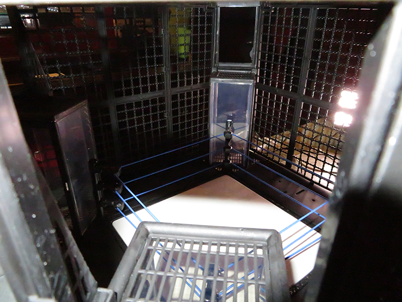 Elimination Chamber Playset