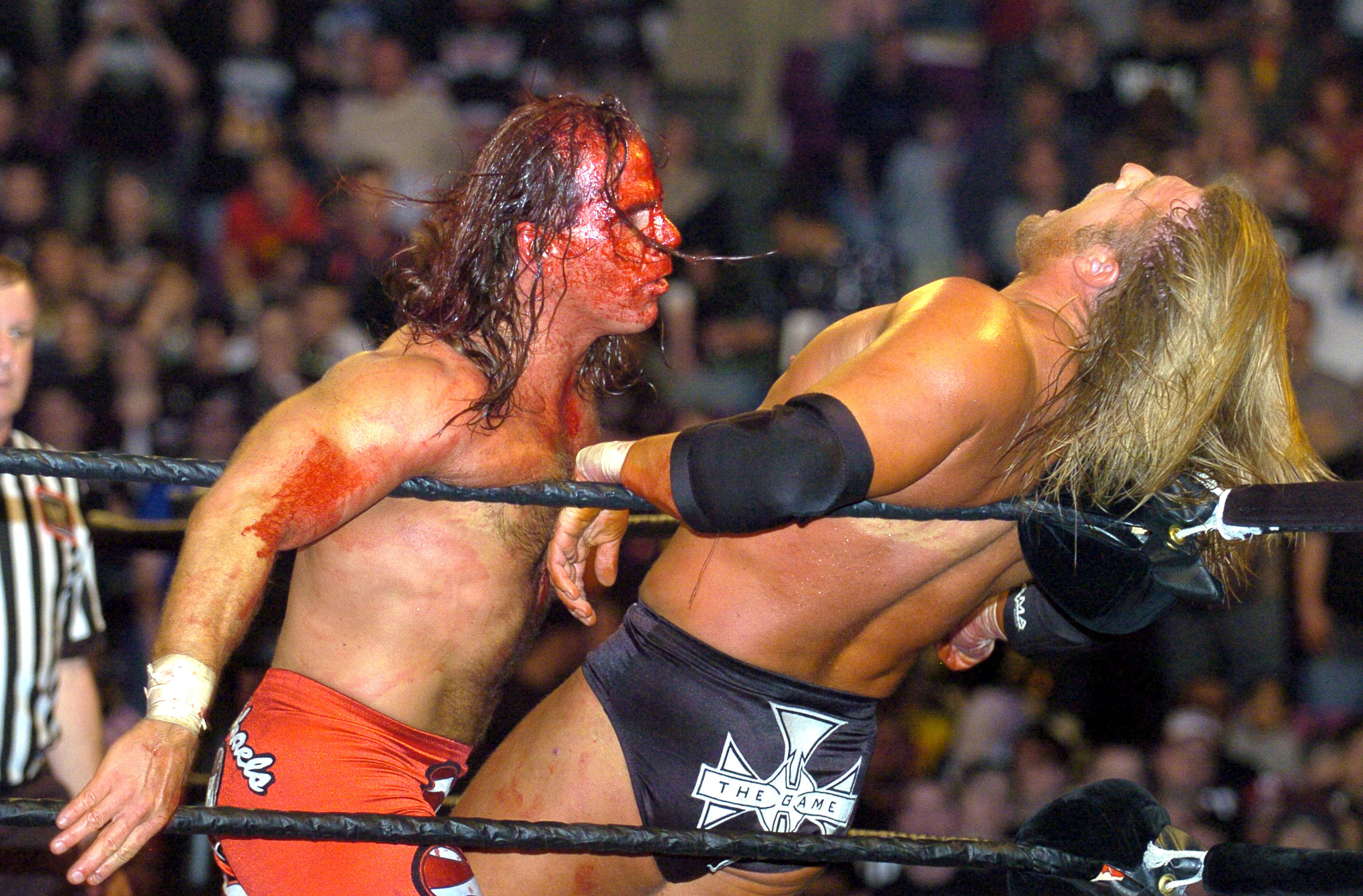 Triple H & Shawn Michaels