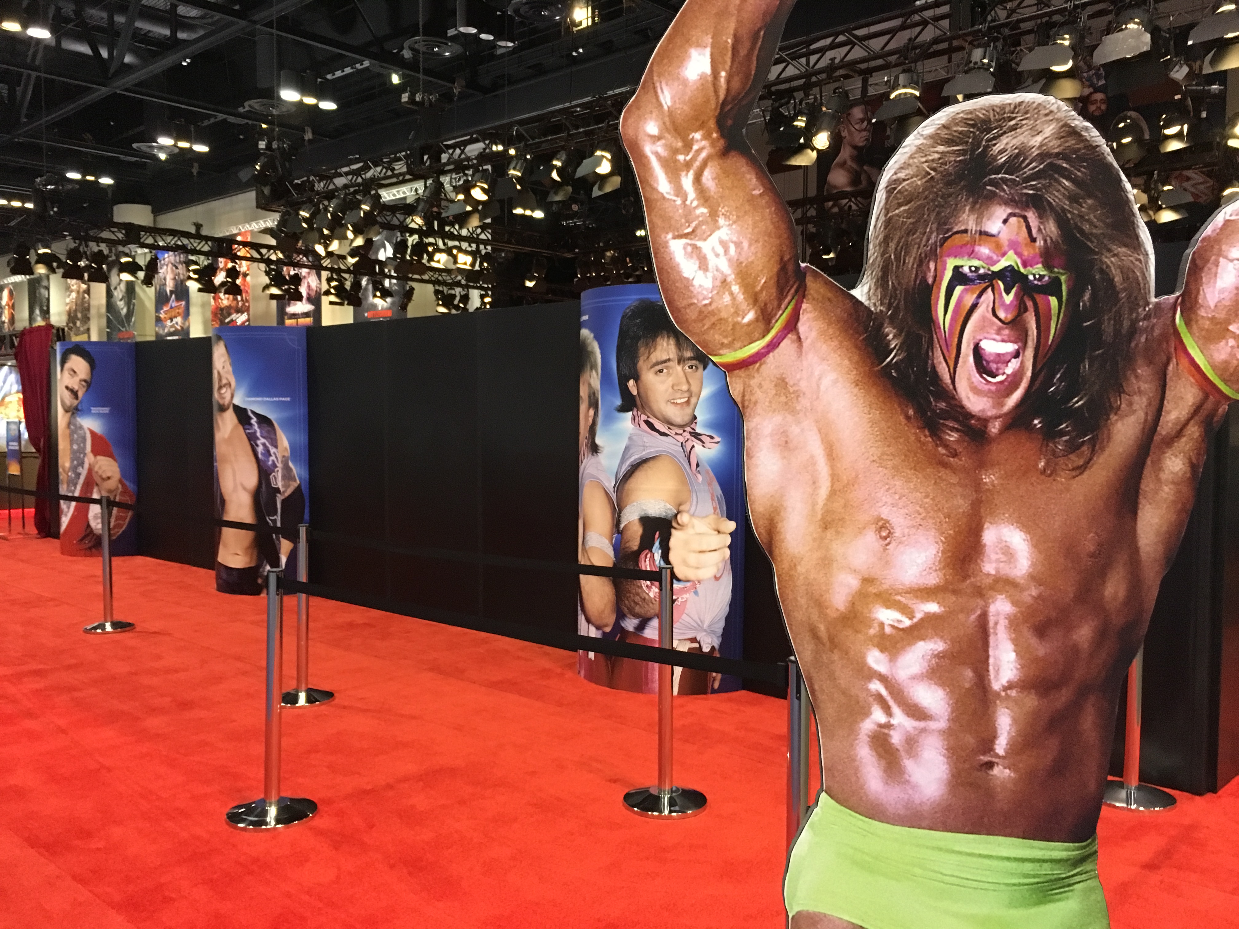 Ultimate Warrior & HOF Display