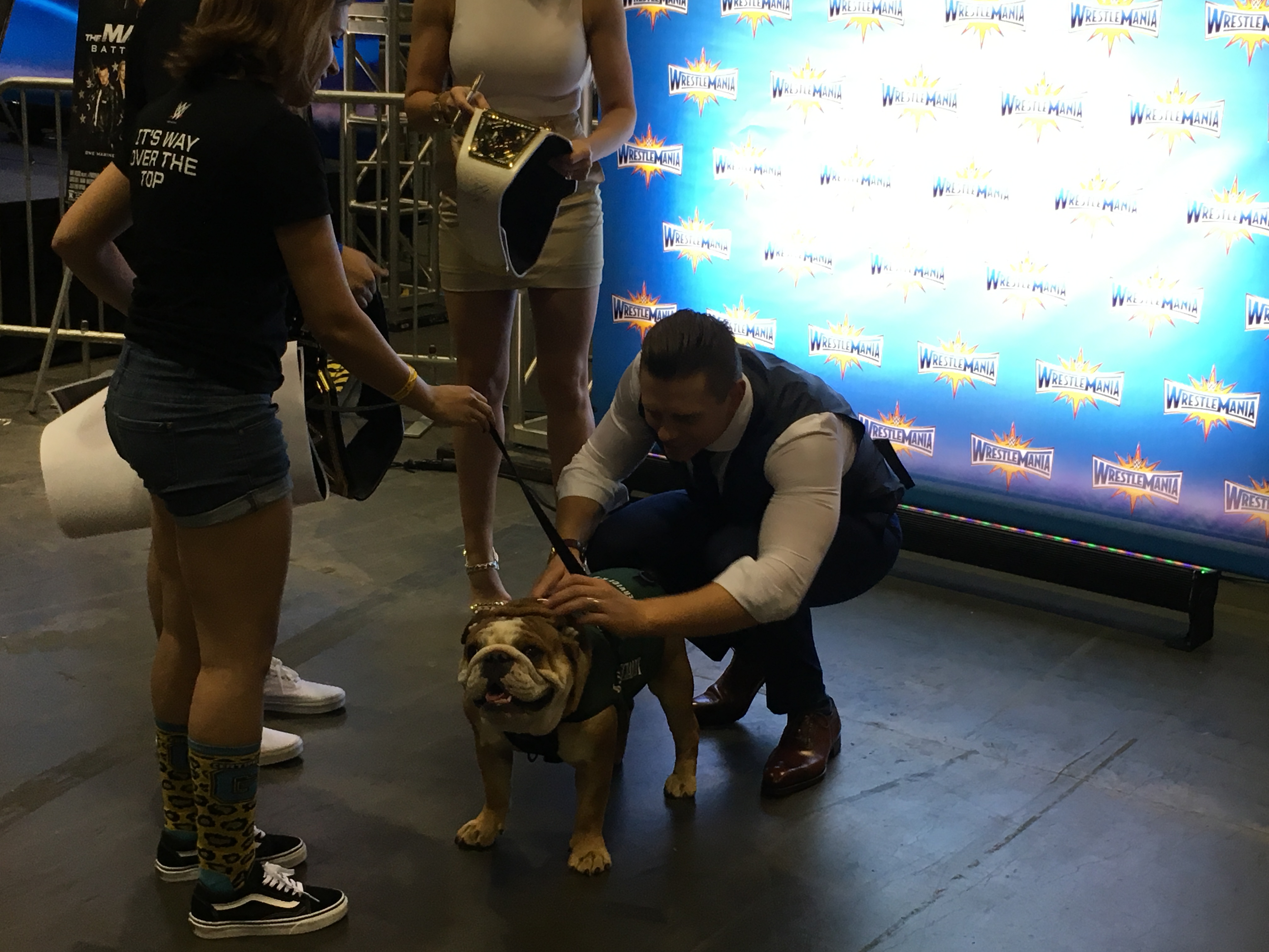 The Miz & Maryse w/ A Dog